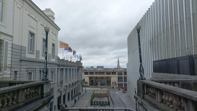 1717101585991.jpg