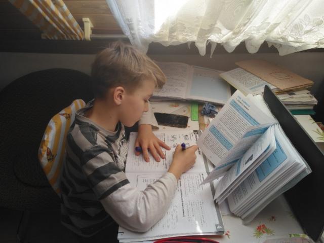 Marek