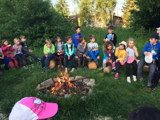 image257