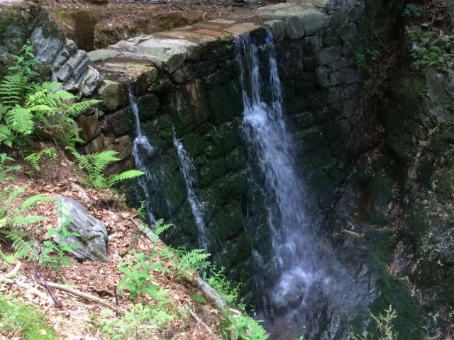 IMG 2373