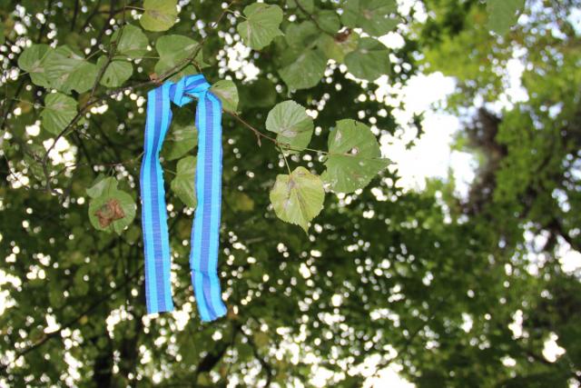 image645