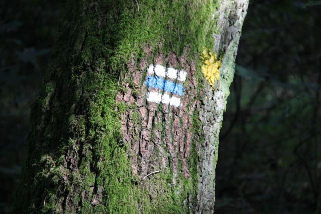 image653