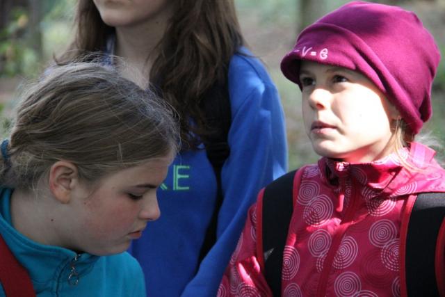image678
