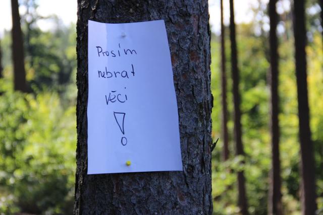 image700