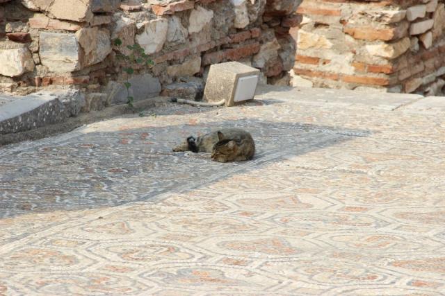 image277