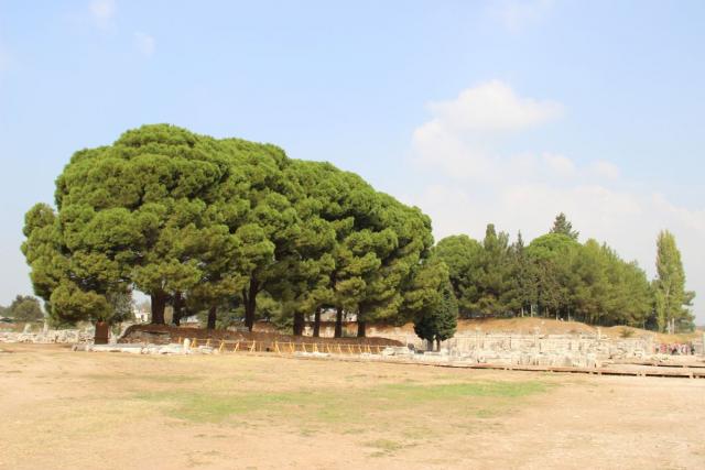 image301