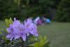 DSC_1004.JPG