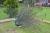 DSC_0942.JPG