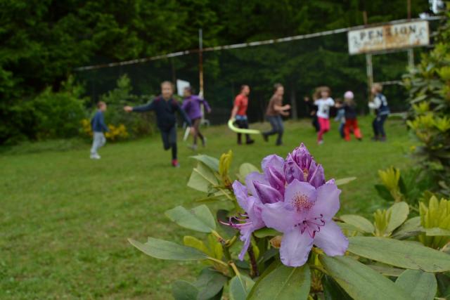 DSC_0741.JPG