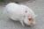 image137.jpg