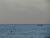 dsc116.jpg