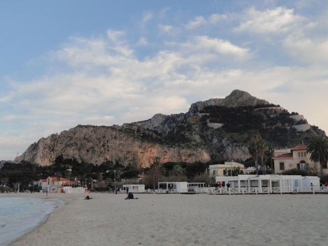 dsc115.jpg