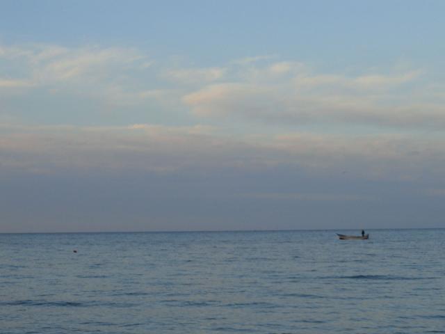 dsc135.jpg