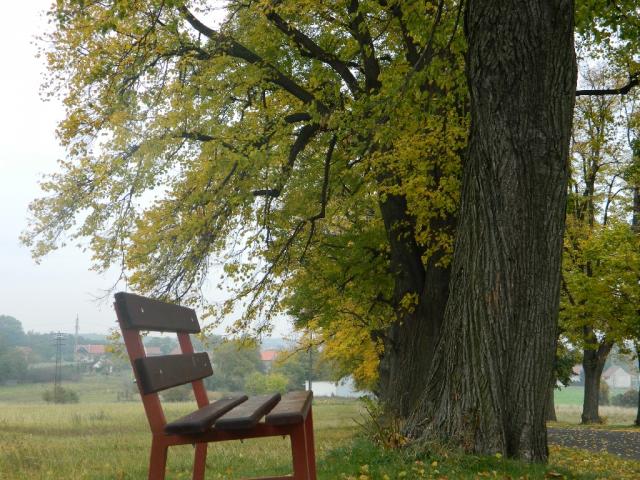 image087